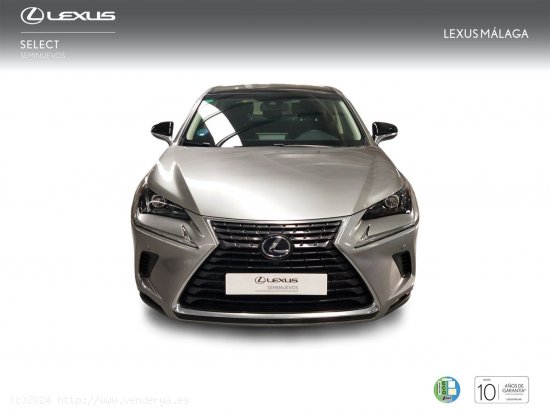 Lexus NX 2.5 300h Sport Edition 2WD - Málaga