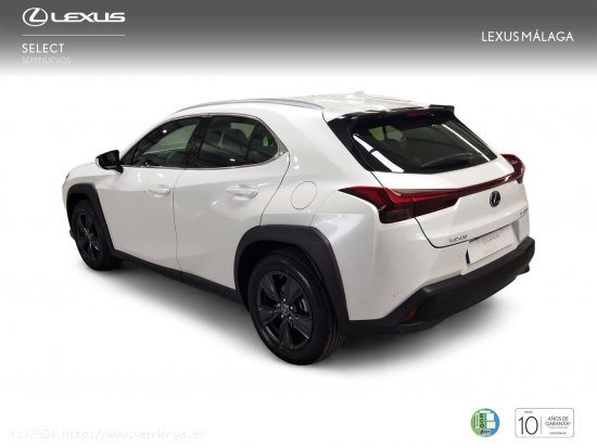 Lexus UX 2.0 250h Business - Málaga