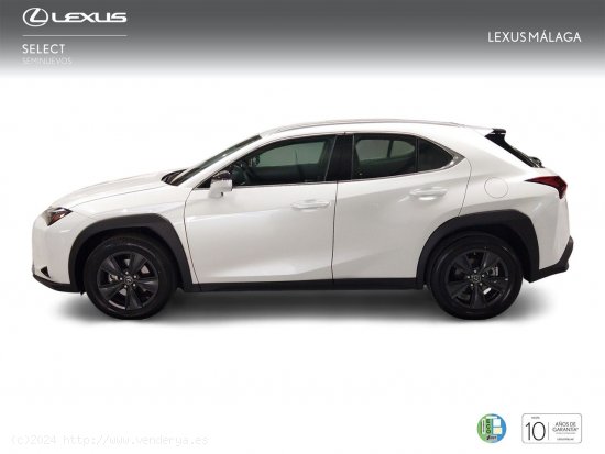 Lexus UX 2.0 250h Business - Málaga