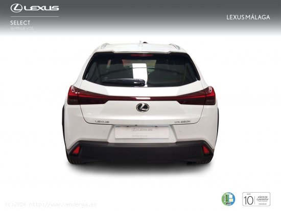 Lexus UX 2.0 250h Business - Málaga