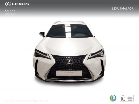 Lexus UX 2.0 250h Business - Málaga