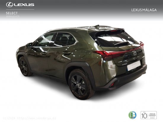 Lexus UX 2.0 250h Premium - Málaga