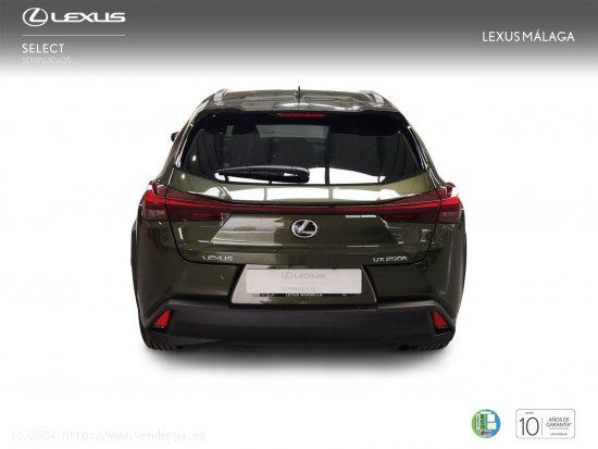 Lexus UX 2.0 250h Premium - Málaga