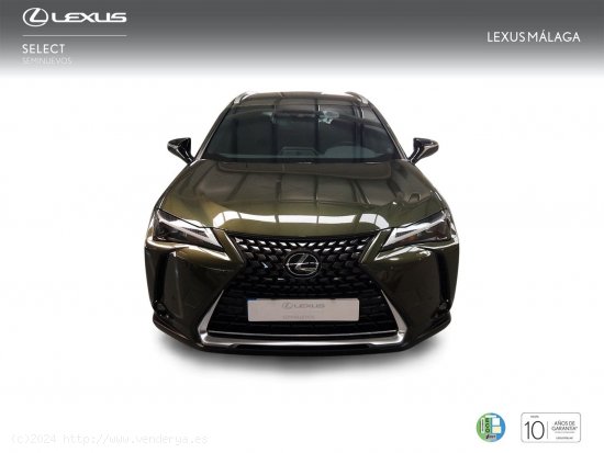 Lexus UX 2.0 250h Premium - Málaga