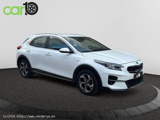 Kia XCeed 1.4 T-GDi Drive 103kW (140CV) - Toledo