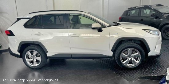 Toyota Rav4 Hybrid 4x2 Advance Plus - 