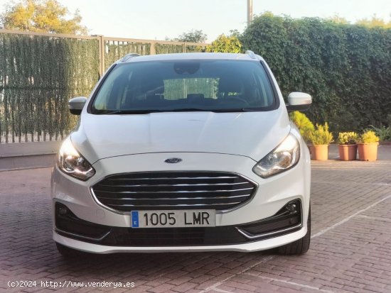 Ford S Max 2.0 TDCI PANTHER TITANIUM - Madrid