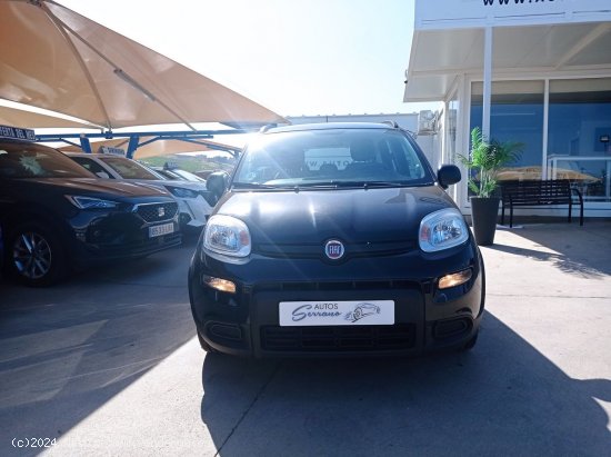 Fiat Panda CITY 1.0 GSE 70CV HYBRID - Manilva