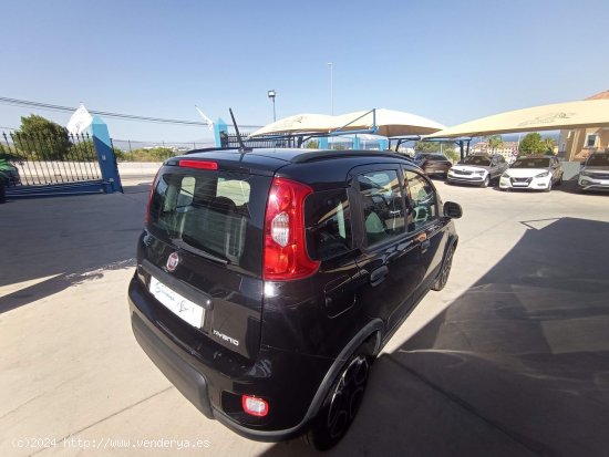 Fiat Panda CITY 1.0 GSE 70CV HYBRID - Manilva