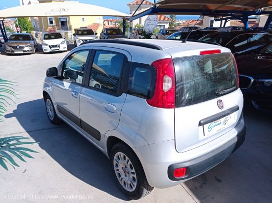 Fiat Panda 1.2  LOUNGE - Manilva