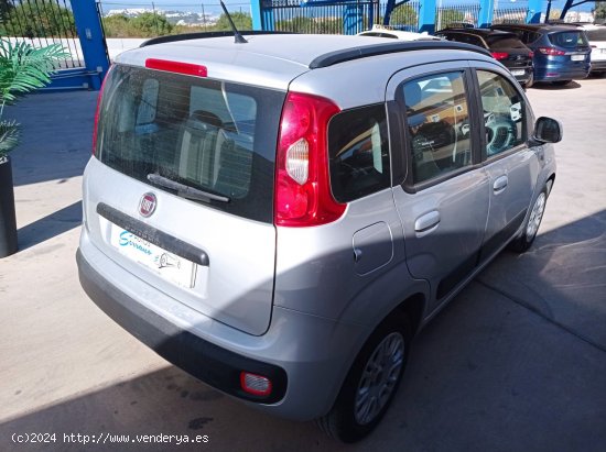 Fiat Panda 1.2  LOUNGE - Manilva