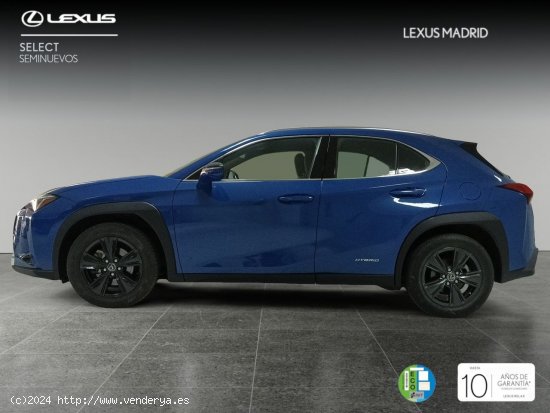 Lexus UX 2.0 250h Premium - Madrid