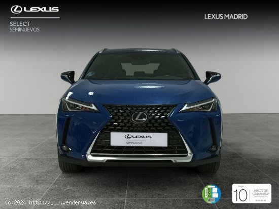 Lexus UX 2.0 250h Premium - Madrid