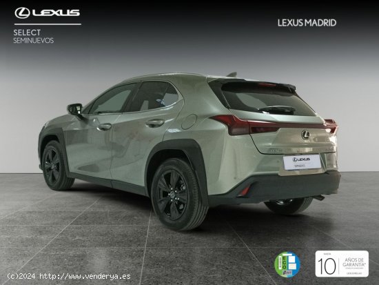 Lexus UX 2.0 250h Premium - Madrid