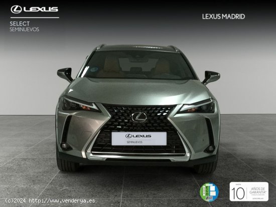 Lexus UX 2.0 250h Premium - Madrid