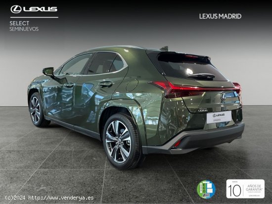 Lexus UX 2.0 250h Luxury - Madrid