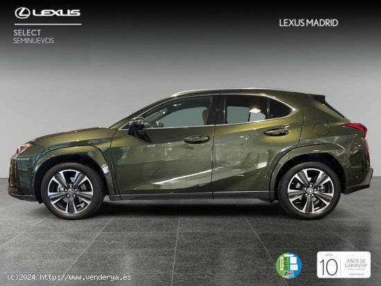 Lexus UX 2.0 250h Luxury - Madrid