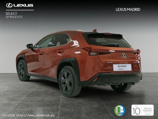 Lexus UX 2.0 250h Premium - Madrid