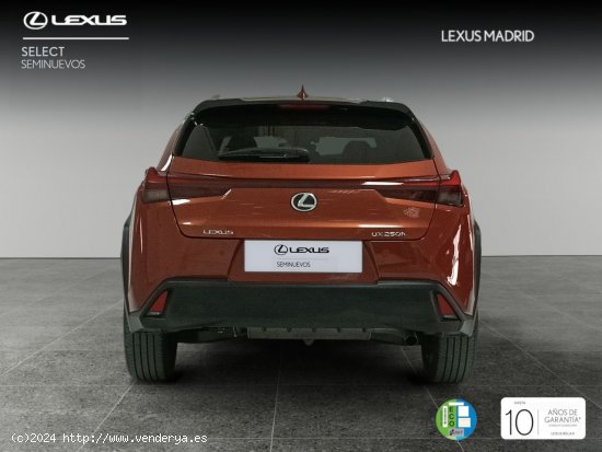 Lexus UX 2.0 250h Premium - Madrid