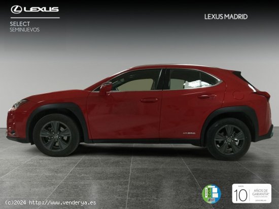 Lexus UX 2.0 250h Business - Madrid