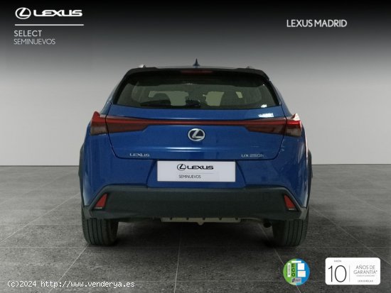 Lexus UX 2.0 250h Premium - Madrid