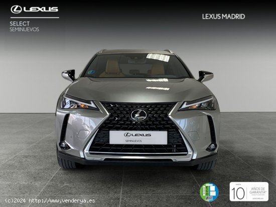 Lexus UX 2.0 250h Premium - Madrid