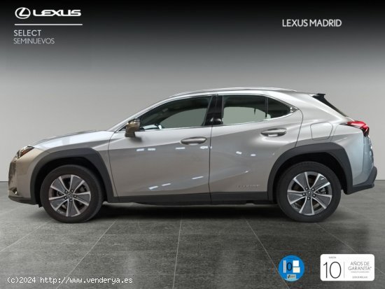 Lexus UX 300e Executive - Madrid