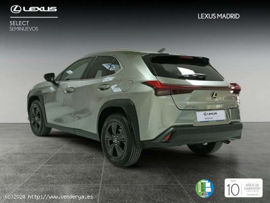 Lexus UX 2.0 250h Premium - Madrid