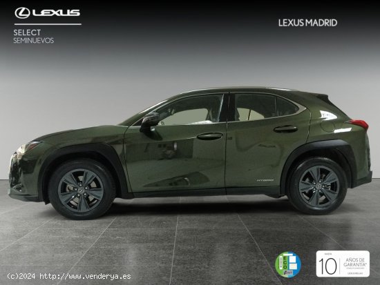 Lexus UX 2.0 250h Business - Madrid