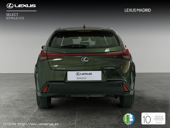 Lexus UX 2.0 250h Business - Madrid