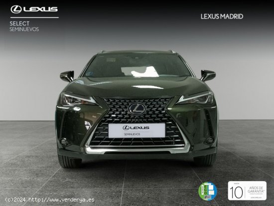 Lexus UX 2.0 250h Business - Madrid