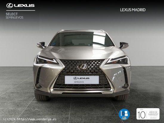 Lexus UX 300e Executive - Madrid