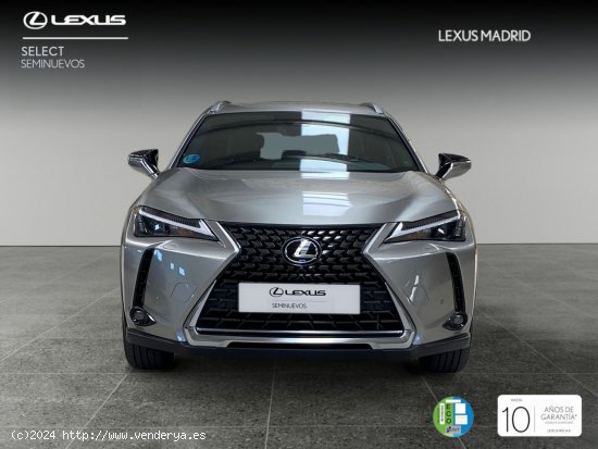 Lexus UX 2.0 250h Premium - Majadahonda