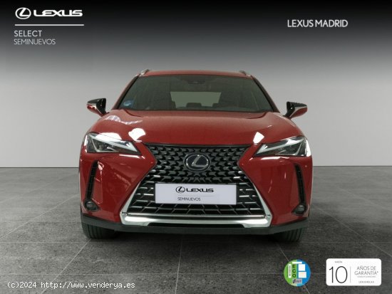 Lexus UX 2.0 250h Business - Madrid