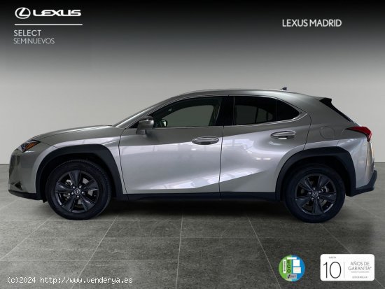 Lexus UX 2.0 250h Premium - Madrid