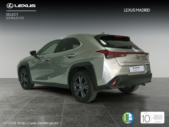 Lexus UX 2.0 250h Premium - El Plantío