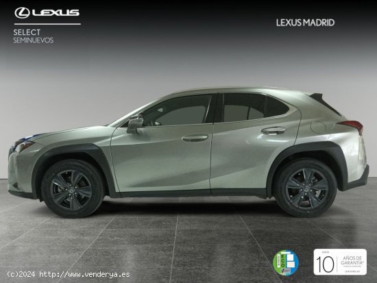 Lexus UX 2.0 250h Premium - El Plantío