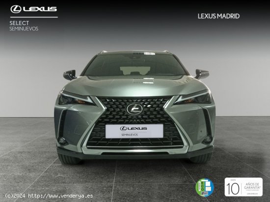 Lexus UX 2.0 250h Premium - El Plantío