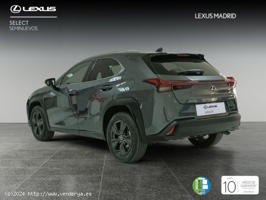 Lexus UX 300e Luxury - Madrid