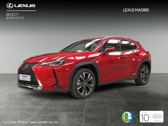  Lexus UX 2.0 250h Executive Plus - El Plantío 