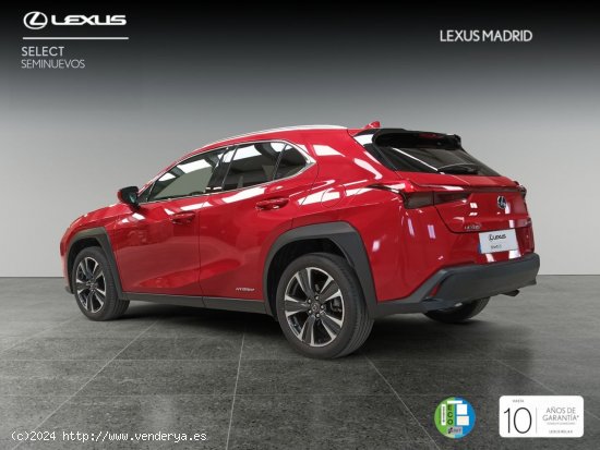 Lexus UX 2.0 250h Executive Plus - El Plantío