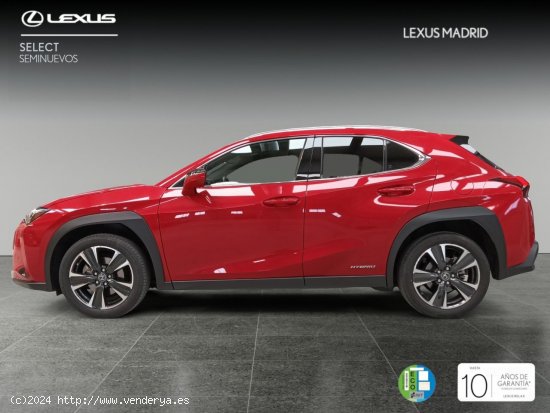 Lexus UX 2.0 250h Executive Plus - El Plantío