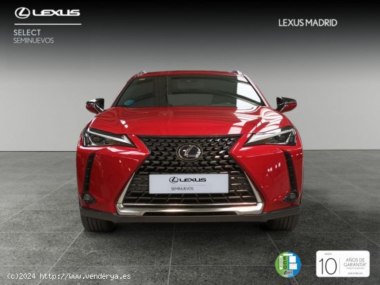 Lexus UX 2.0 250h Executive Plus - El Plantío