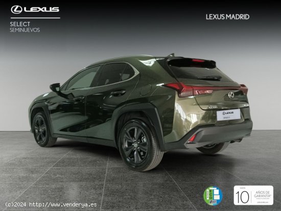 Lexus UX 2.0 250h Premium - El Plantío