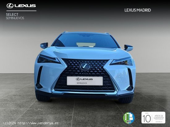 Lexus UX 2.0 250h Premium - El Plantío