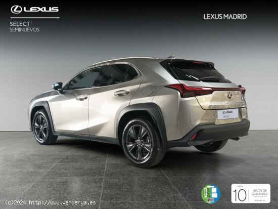 Lexus UX 2.0 250h Premium - El Plantío