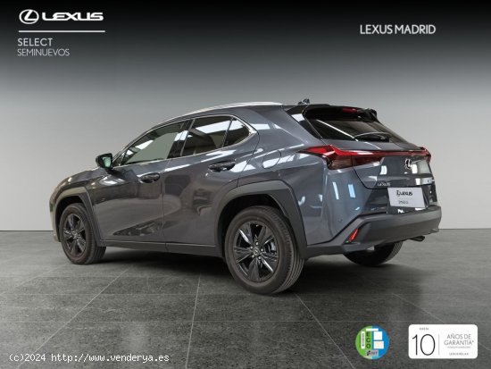 Lexus UX 2.0 250h Premium - El Plantío