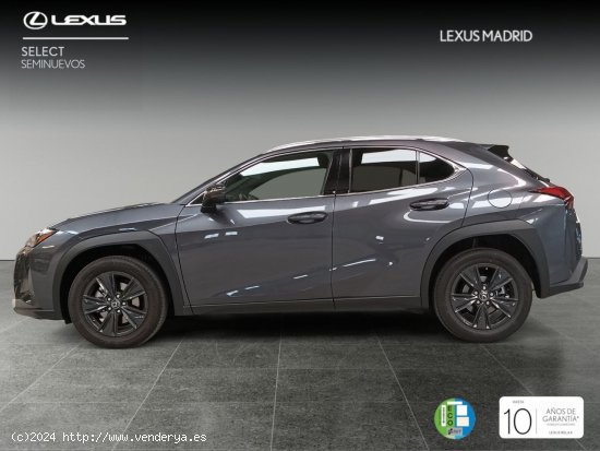 Lexus UX 2.0 250h Premium - El Plantío