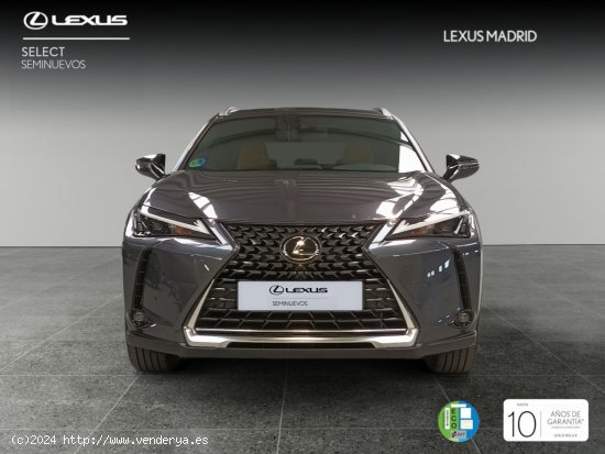 Lexus UX 2.0 250h Premium - El Plantío