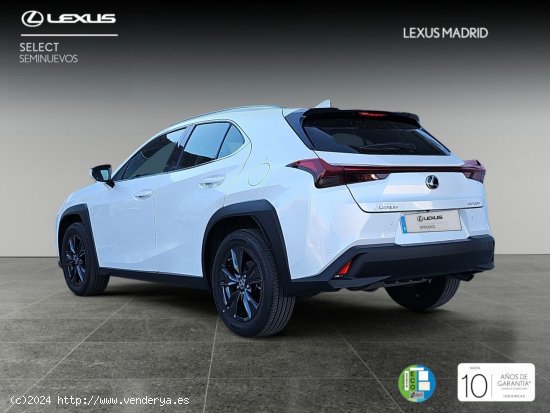 Lexus UX 2.0 250h Premium - El Plantío